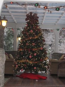 In addition to our indoor Christmas tree, we like to have a second tree outside on our porch, to greet holiday visitors.