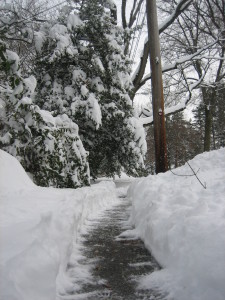 "Anyway, after beating the snow off the heavily over-laden trees, I had to shovel a path on our long sidewalks on the two frontages of our corner property."